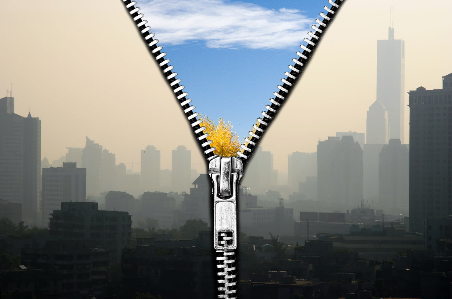 Air Purifiers vs Air Quality Monitors
